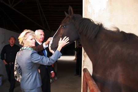 From a hobby to starting up a horse ranch