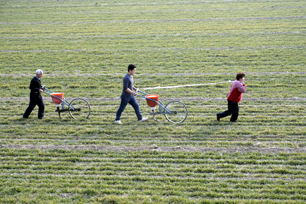 China urges banks to speed up agriculture sector loans