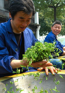 Longjing tea will be the real deal from now