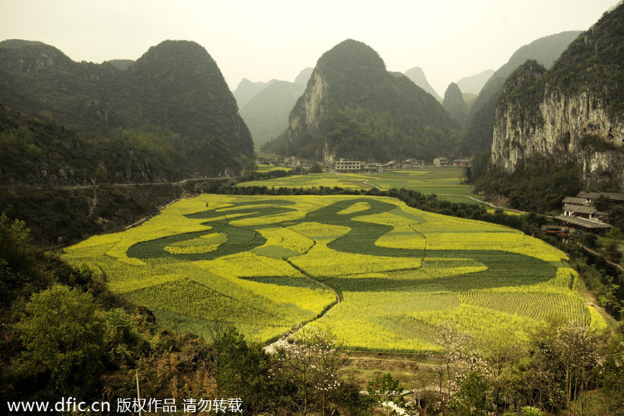 Top 10 canola flower attractions in China