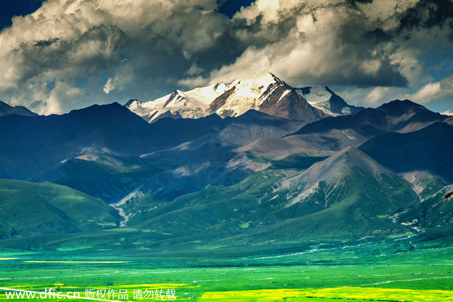 Top 10 canola flower attractions in China