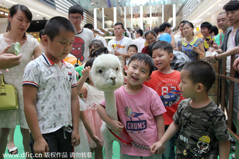 Shopping mall attracts kids to 'Happy Farm'