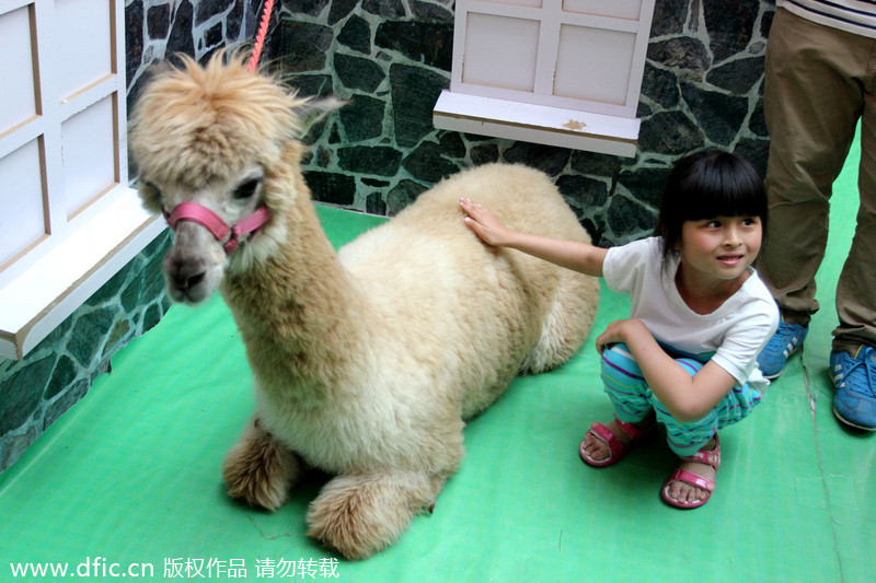 Shopping mall attracts kids to 'Happy Farm'