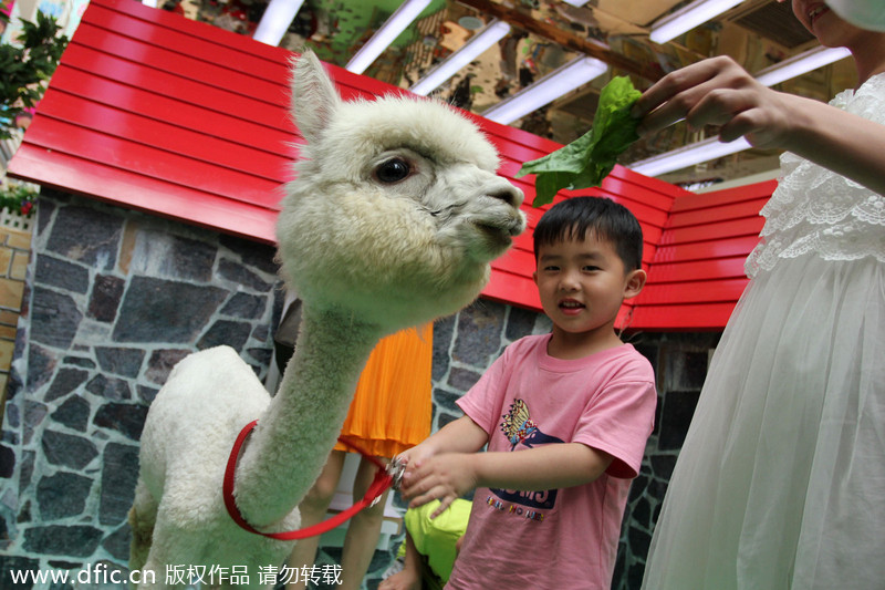 Shopping mall attracts kids to 'Happy Farm'