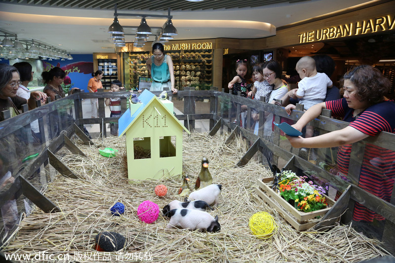 Urban farming in a high-end shopping mall