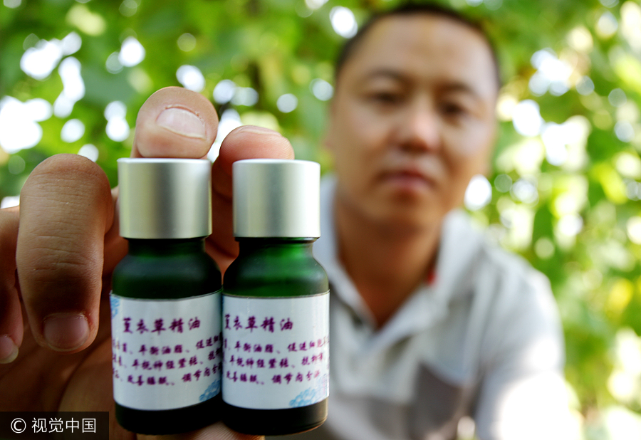 Graduate brings sweet smell of lavender to North China