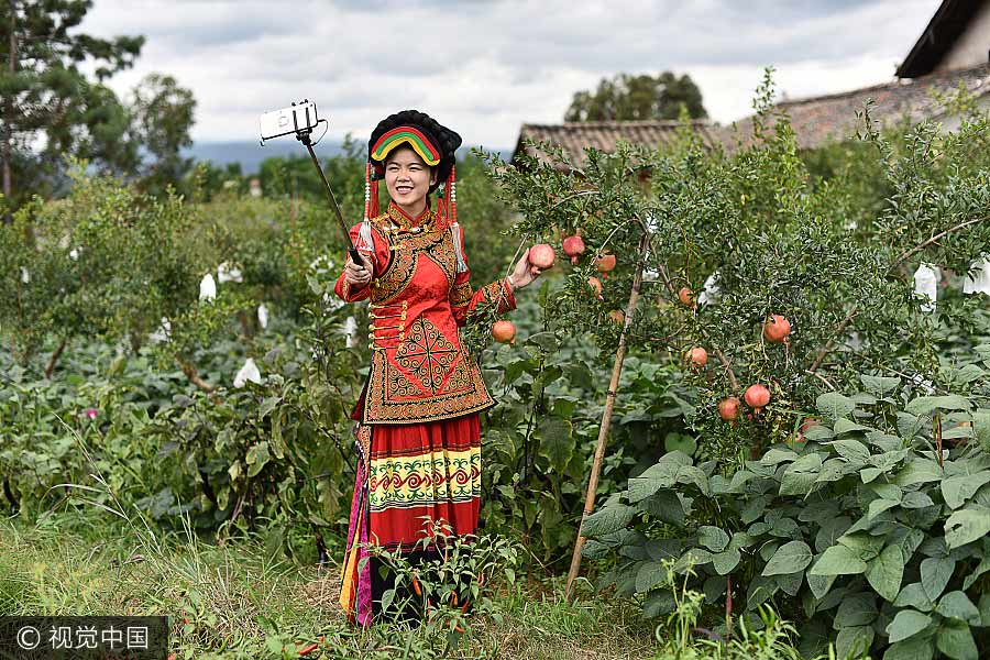 Woman uses live broadcasting to sell pomegranates