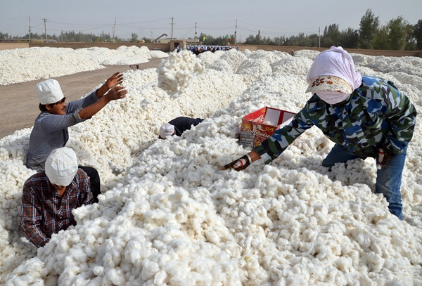 The local hero who built Xinjiang