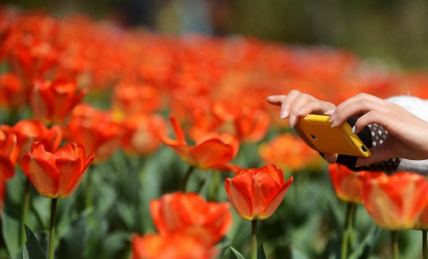 Spring scenery of West Lake in E China