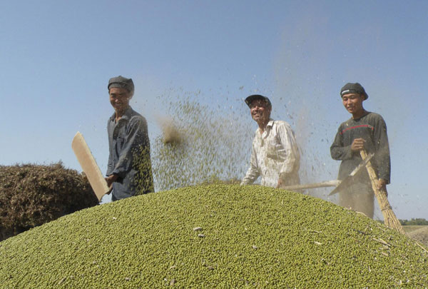 China's grain market stable with good harvest