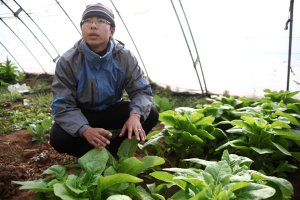 Student finds roots on the farm