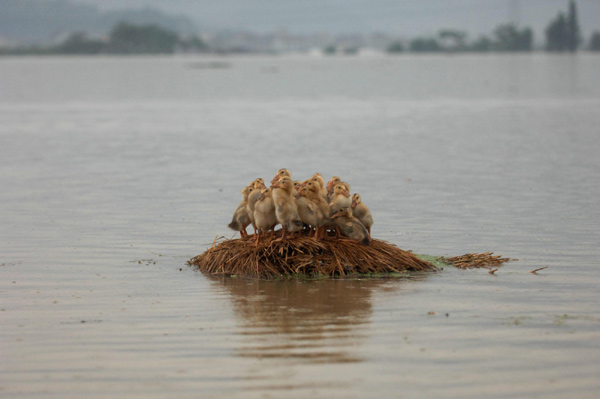 When the levees broke . . .