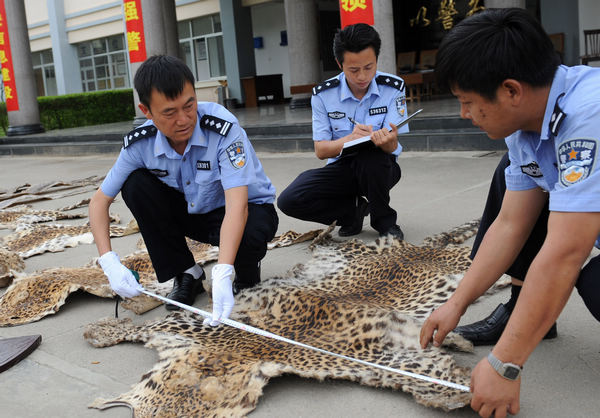 Wildlife smuggling becoming rarer but not extinct