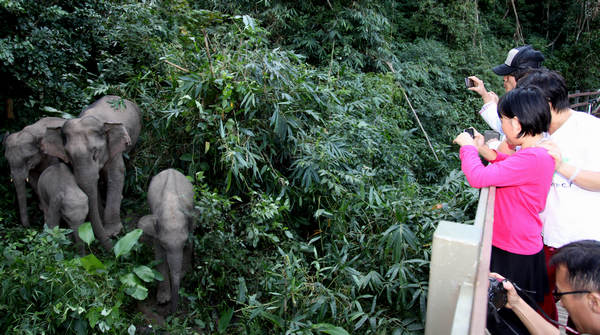 Red elephants amaze visitors