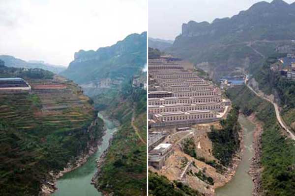 Fish ecosystem on Yangtze 'on verge of collapse'