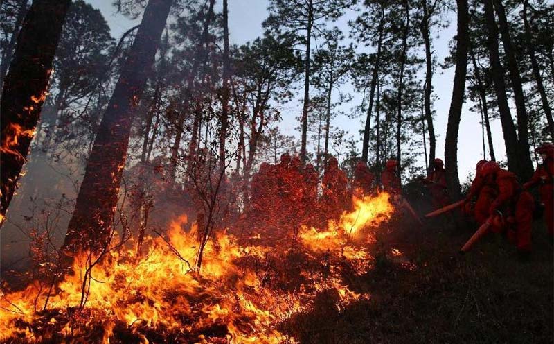 Forest fire breaks out in SW China