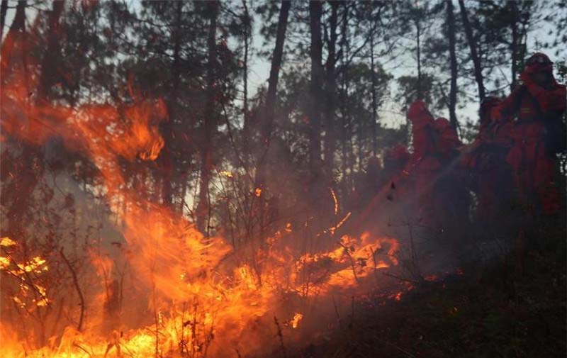 Forest fire breaks out in SW China