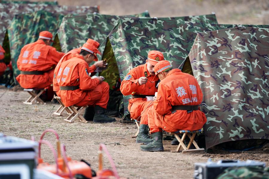 Forest team tackles fire drill in NE China