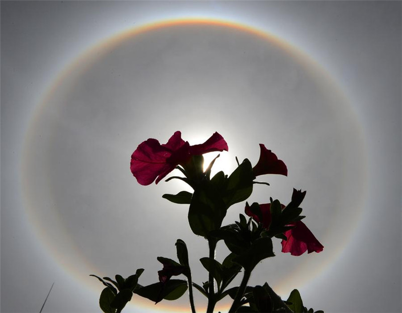 Solar halo in sky above Lhasa