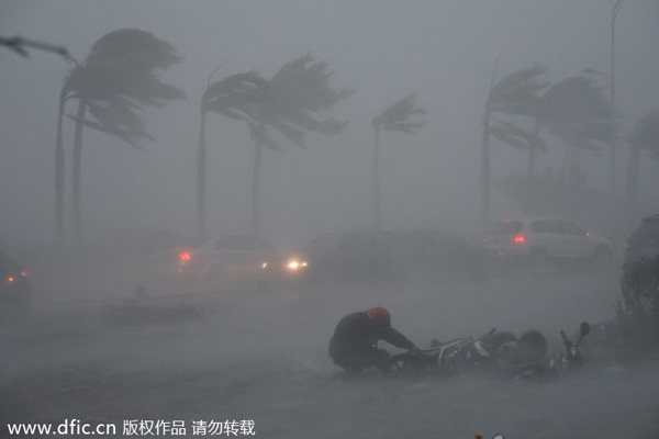 Eight killed in typhoon Rammasun in South China