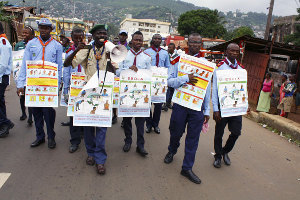 Chinese Ebola doctors leave for Africa