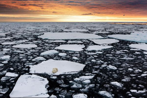 Arctic expedition team conducts scientific study