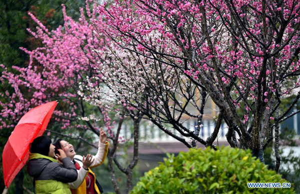 Beautiful sceneries of early spring flowers around China