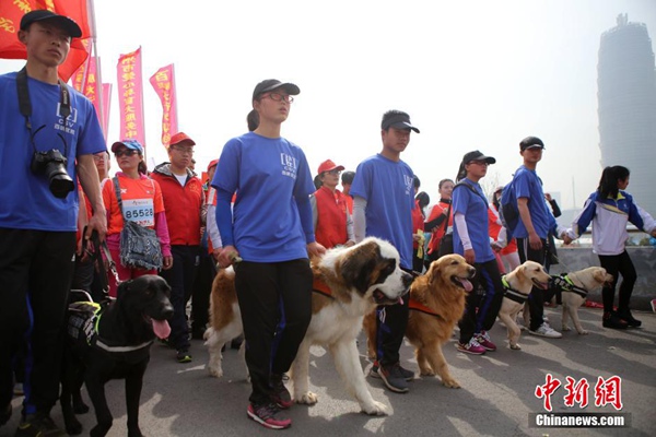 Guide dogs run marathon