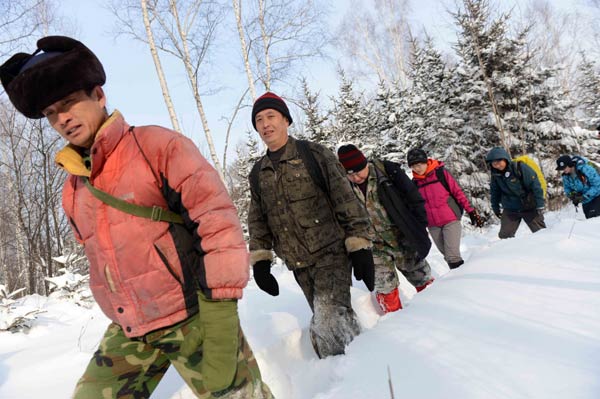 Amur tigers come back from the brink