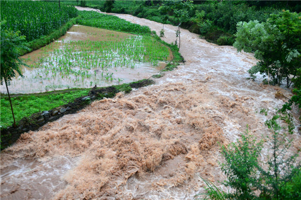 Heavy rain, flood hit many parts of China