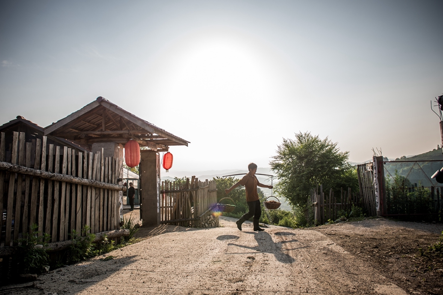 Strawberry season keeps villagers busy before winter crowds arrive