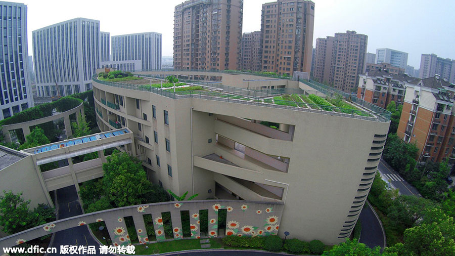 Elementary school builds rooftop garden