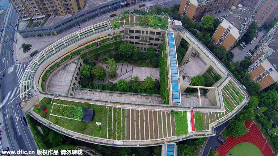 Elementary school builds rooftop garden