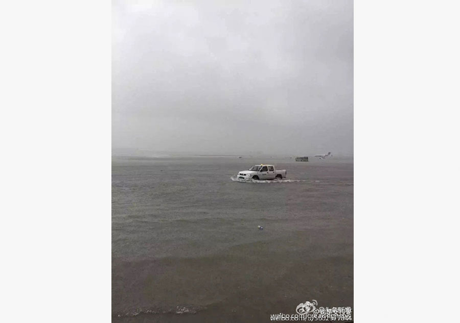 Torrential rain ahead of Typhoon Swan floods Shanghai airport