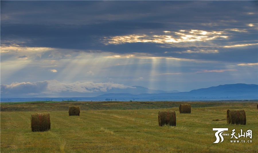 Rolls of grass: a beautiful landscape in Xinjiang