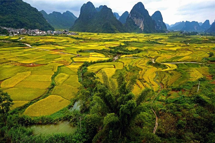 Autumn scenery in S China's Guangxi