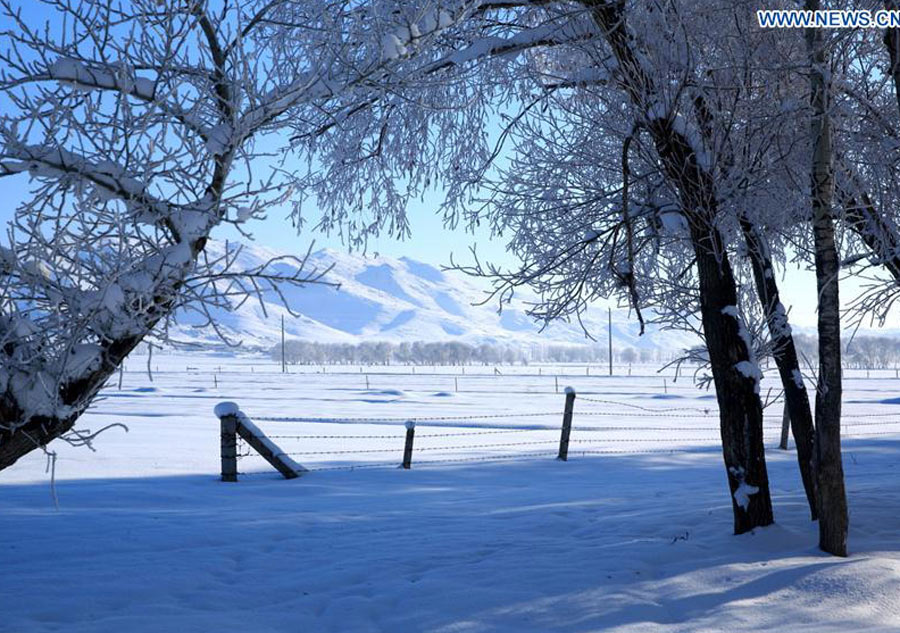 Gorgeous rime scenery in China's Xinjiang