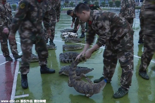 Police seize 158 crocodiles at China-Vietnam border