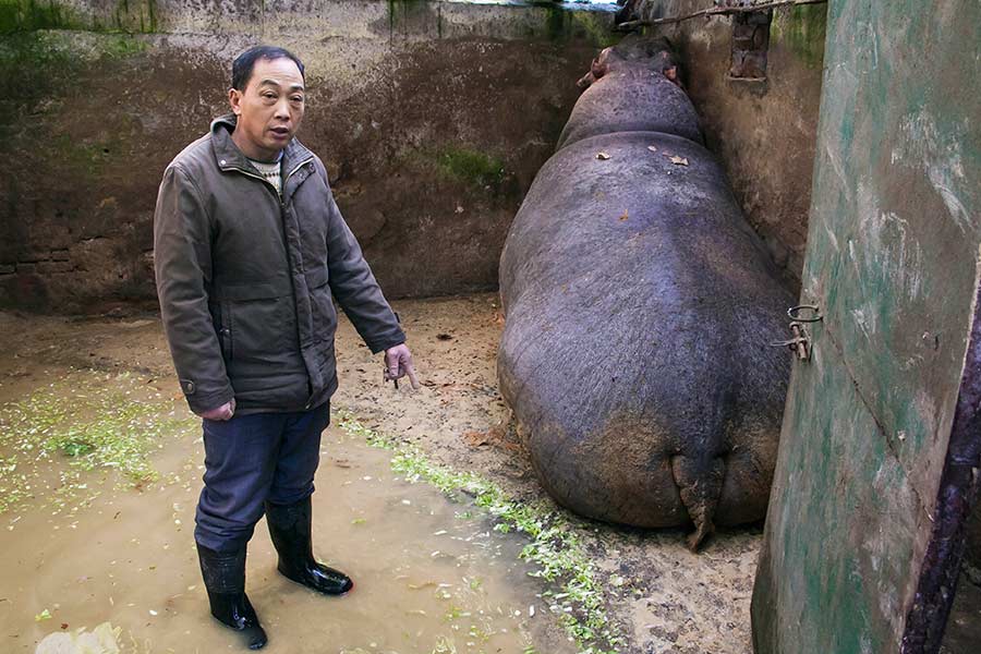 Ten photos of the week from around China