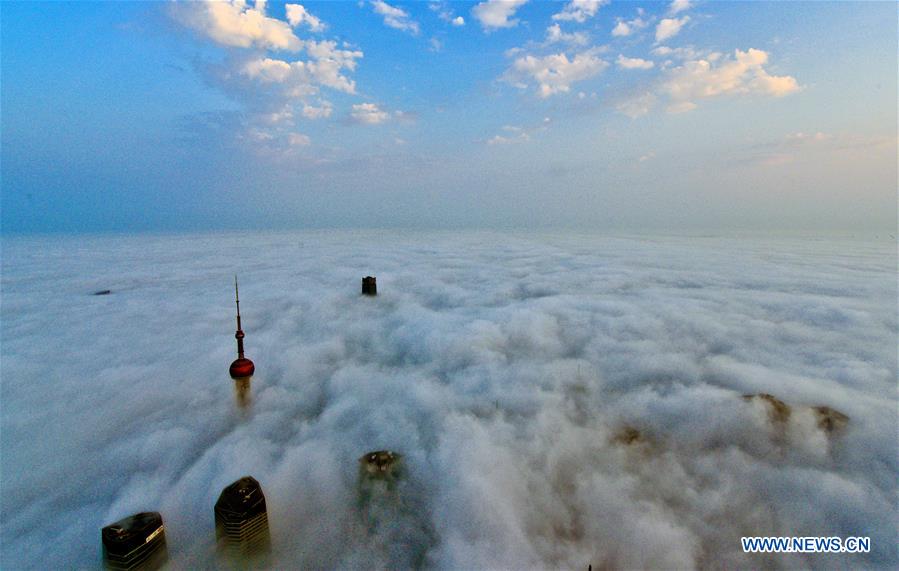 Rising above the clouds: Shanghai's landmark skyscrapers