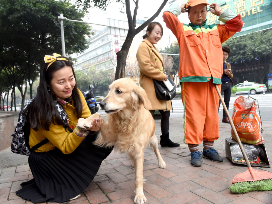 Chengdu's sanitation worker and her dog