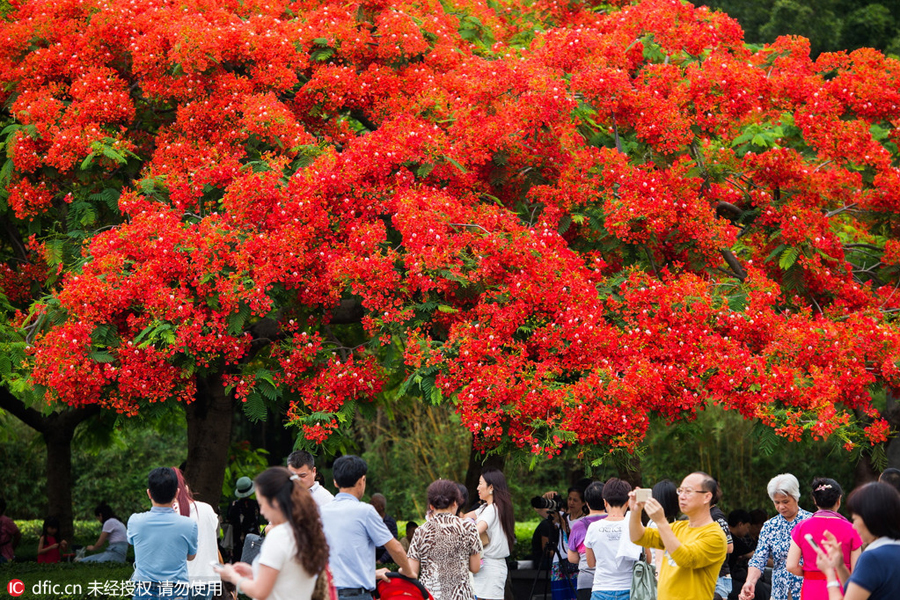 Ten photos from around China: May 15 - 22