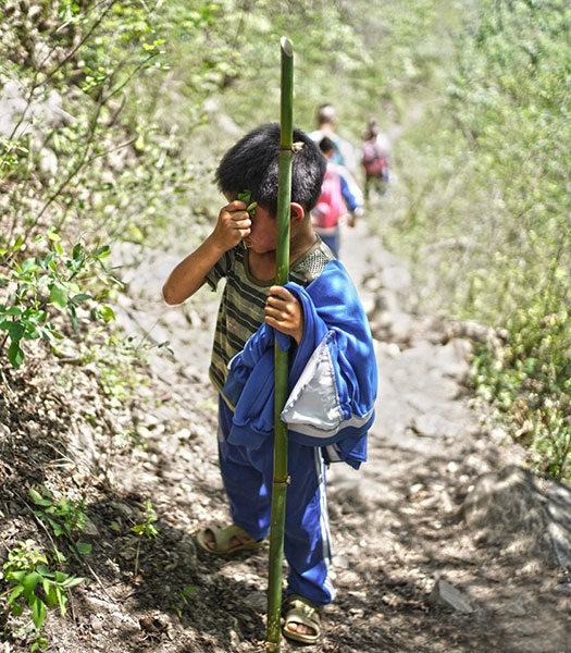 Ladder to school on cliff set for upgrade