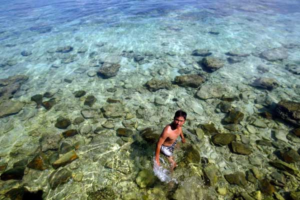 Planting program helps save China's corals