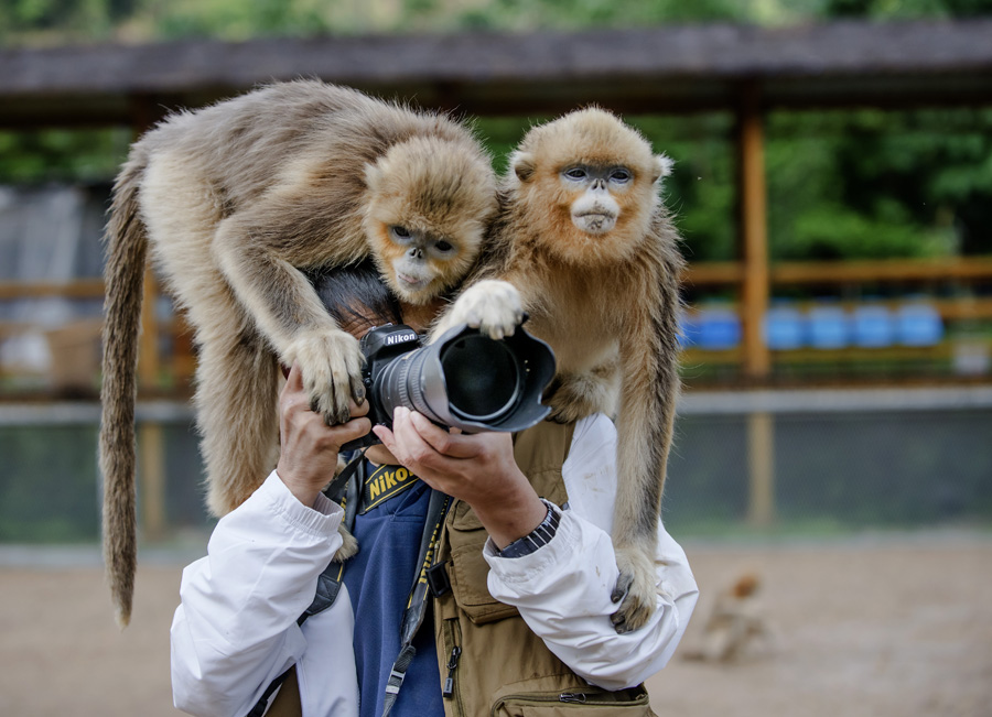 Ten photos from around China: June 17 - 23