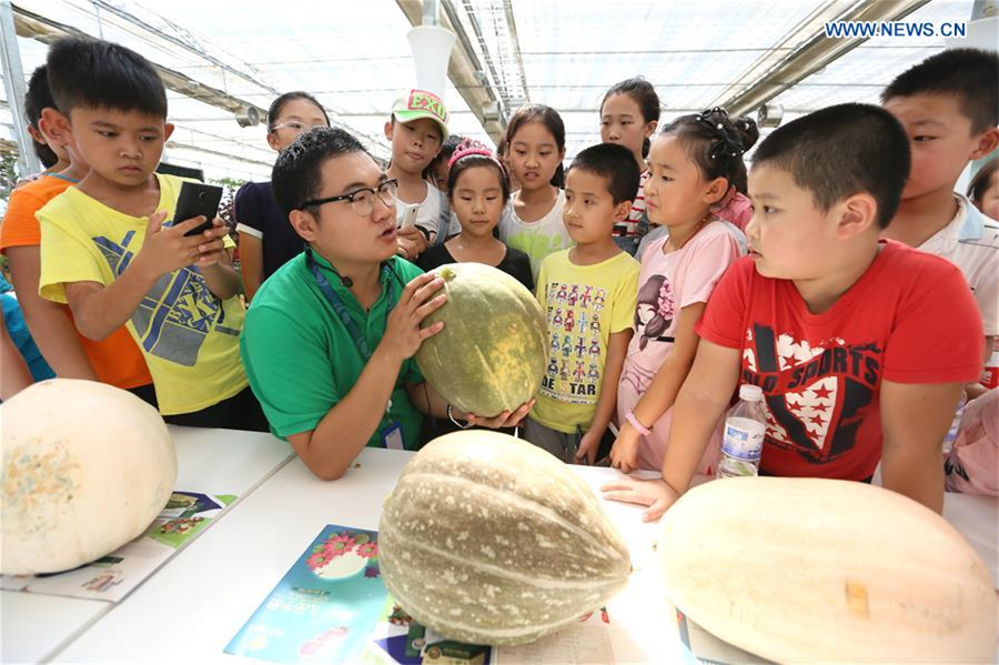 Primary school students given class at agricultural demonstration base