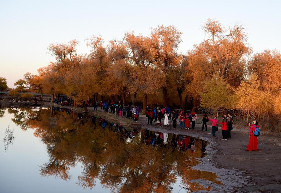 Ejin oasis in N China famous for diversiform-leaved poplar forests