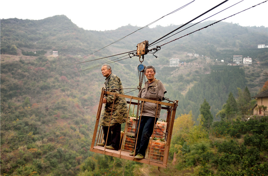 Cableway brings hope to orange farmers