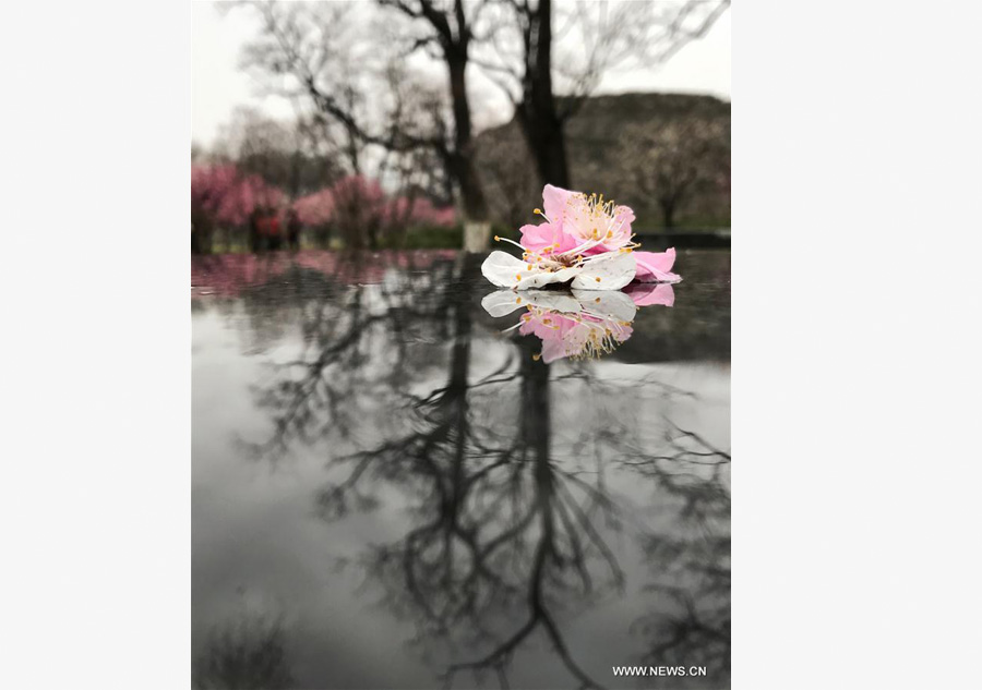 Cold front brings rainfall to Beijing