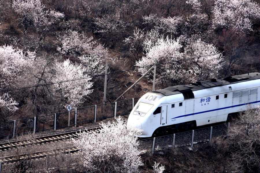 A peachy train ride